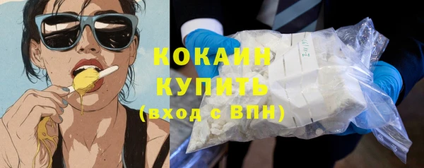 соль ск Верхний Тагил