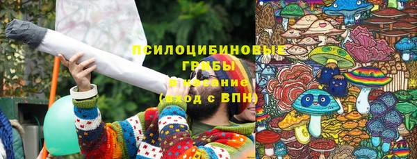 винт Бородино