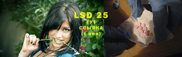 стаф Бугульма