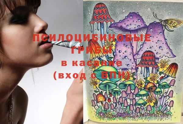 бутират Верея