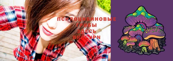 соль ск Верхний Тагил