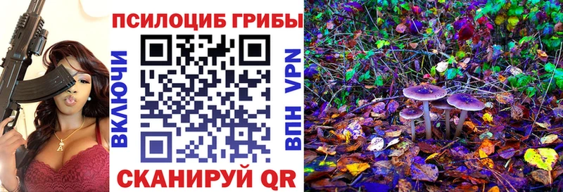хочу наркоту  Ейск  Галлюциногенные грибы Cubensis 